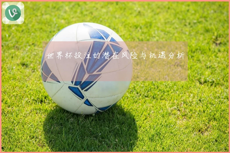 世界杯投注的潜在风险与机遇分析