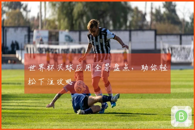 世界杯买球应用全景盘点，助你轻松下注攻略
