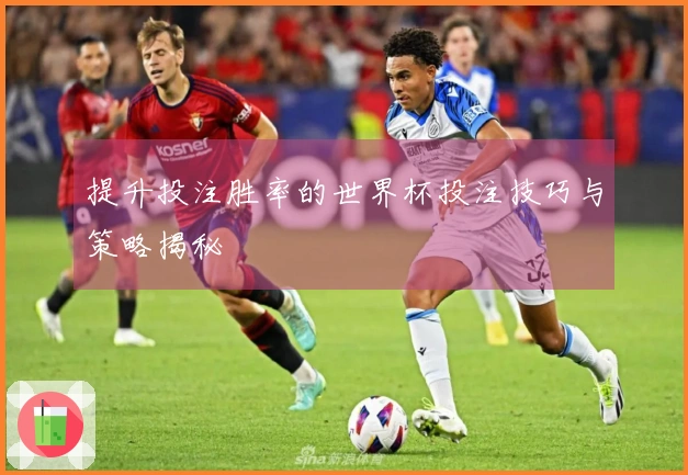 提升投注胜率的世界杯投注技巧与策略揭秘