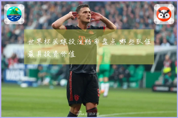 世界杯买球投注赔率盘点 哪些队伍最具投资价值