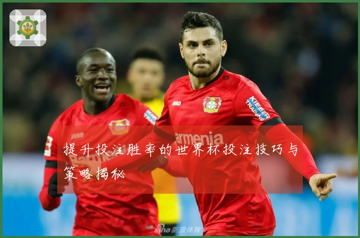 提升投注胜率的世界杯投注技巧与策略揭秘