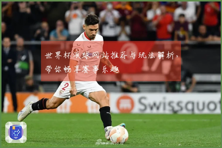 世界杯滚球网站推荐与玩法解析，带你畅享赛事乐趣