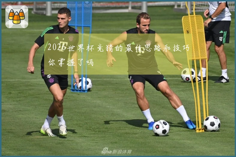 2026世界杯竞猜的最佳思路和技巧你掌握了吗