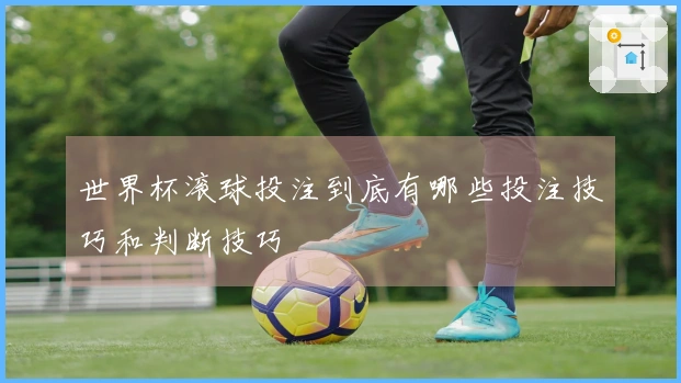 世界杯滚球投注到底有哪些投注技巧和判断技巧