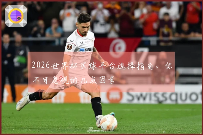 2026世界杯买球平台选择指南、你不可忽视的几点因素