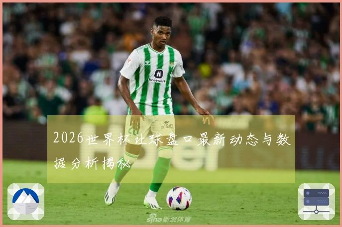 2026世界杯让球盘口最新动态与数据分析揭秘