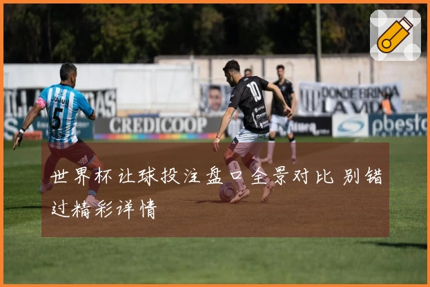 世界杯让球投注盘口全景对比 别错过精彩详情