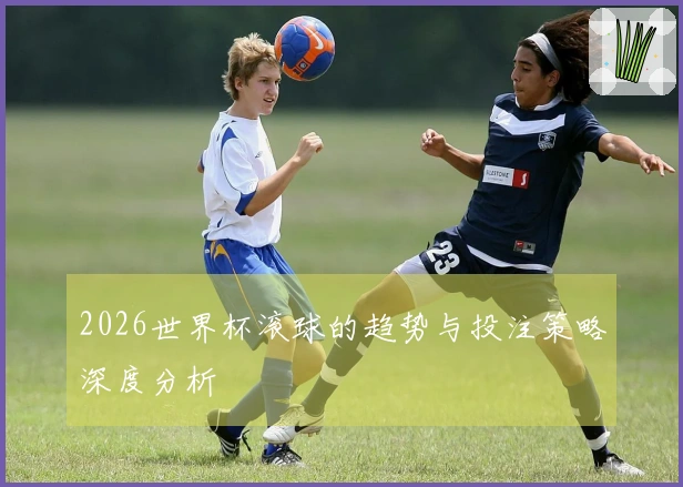 2026世界杯滚球的趋势与投注策略深度分析