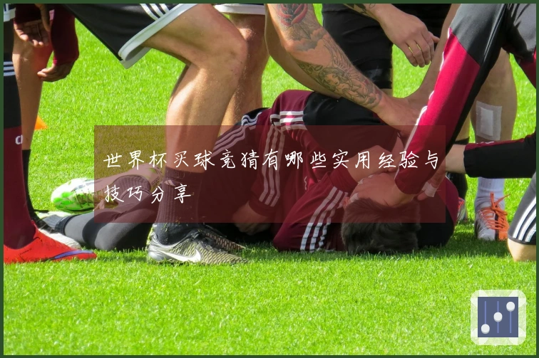世界杯买球竞猜有哪些实用经验与技巧分享