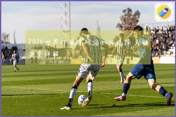 2026世界杯滚球网站如何选择 关键要素详解