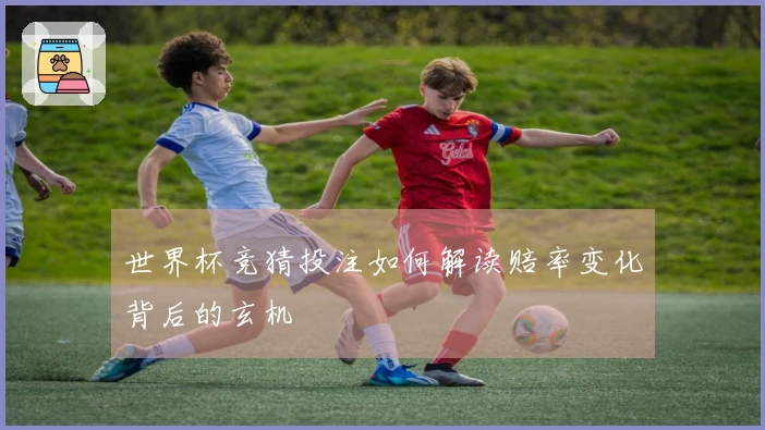 世界杯竞猜投注如何解读赔率变化背后的玄机