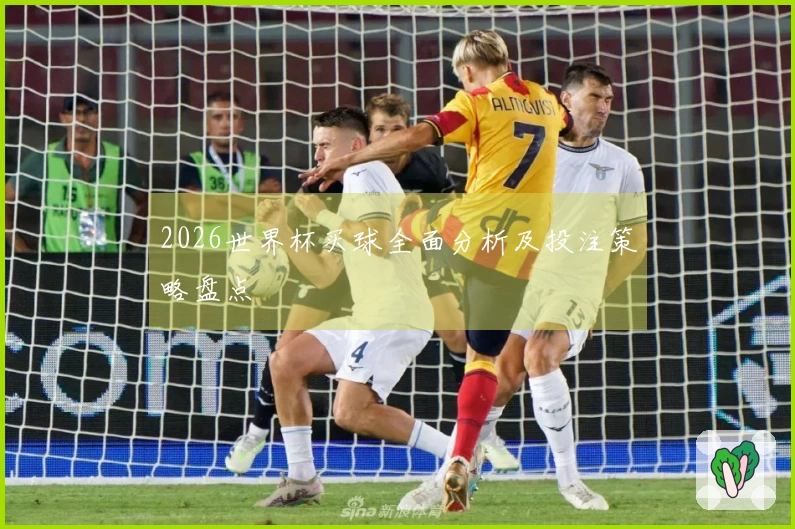 2026世界杯买球全面分析及投注策略盘点