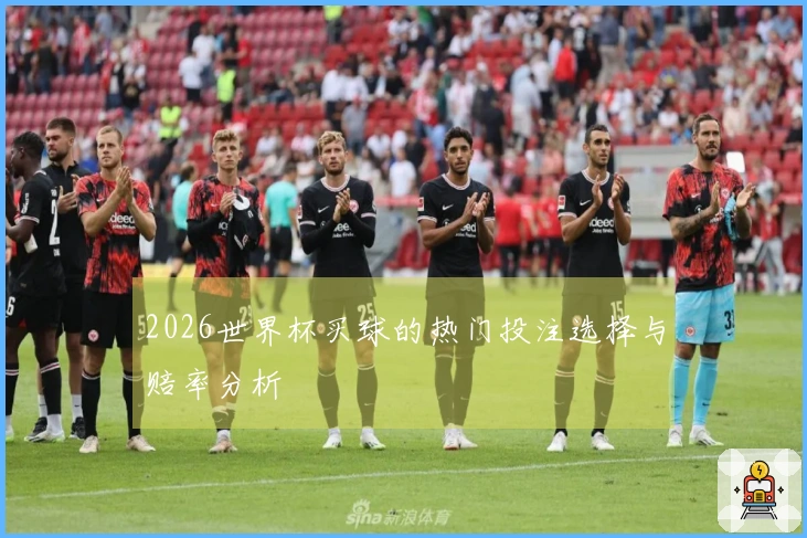 2026世界杯买球的热门投注选择与赔率分析