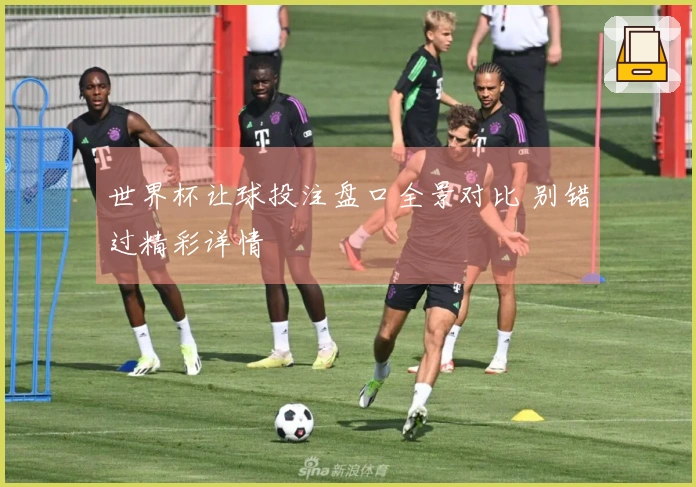 世界杯让球投注盘口全景对比 别错过精彩详情