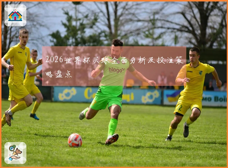 2026世界杯买球全面分析及投注策略盘点